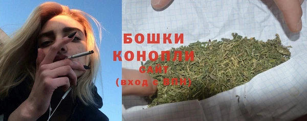 крисы Богданович