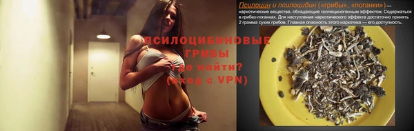 дживик Беломорск