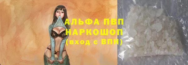 сатива Богородицк