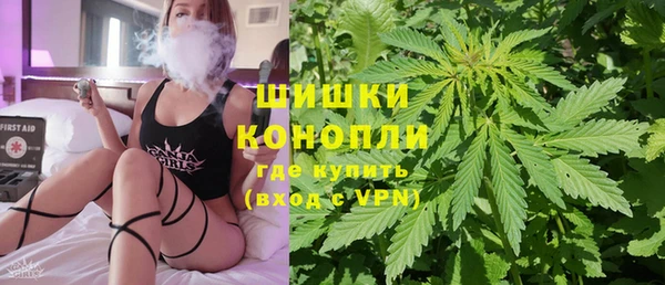 сатива Богородицк