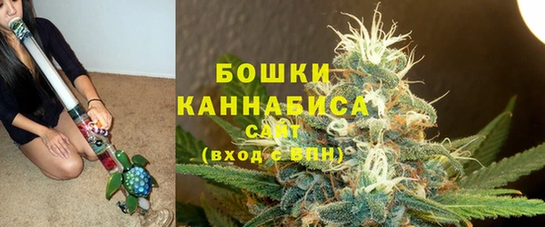 крисы Богданович