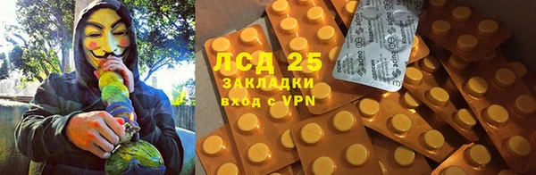 крисы Богданович
